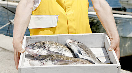 北海道から鮮魚
